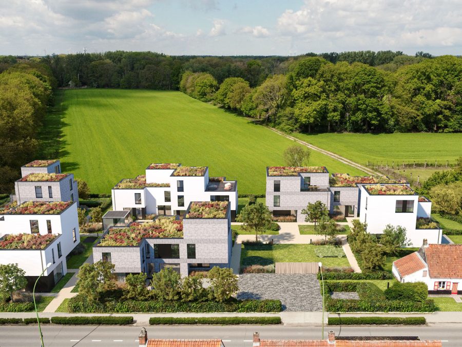 's-Gravensicht drone perspectief